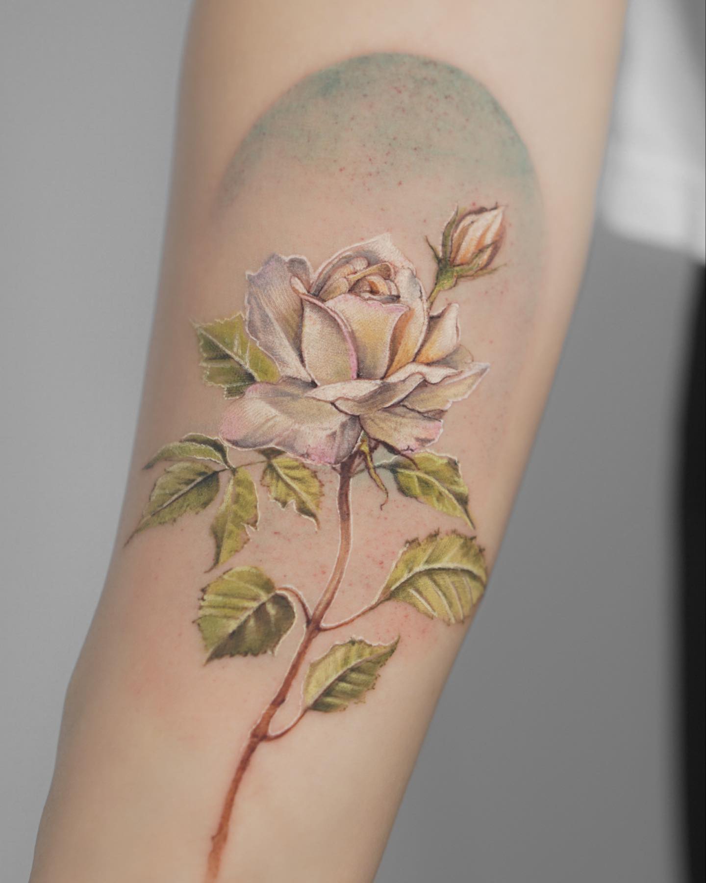Rose with White Petals Tattoo on Arm